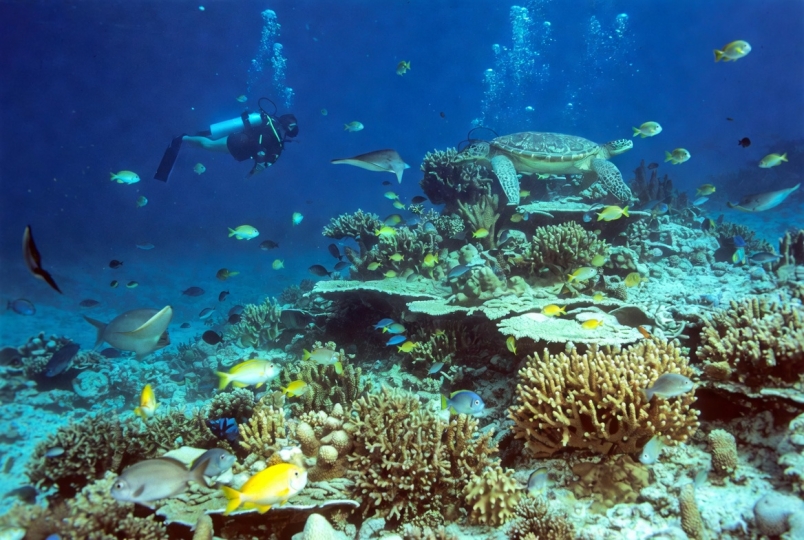 Hurghada – podwodna stolica Egiptu